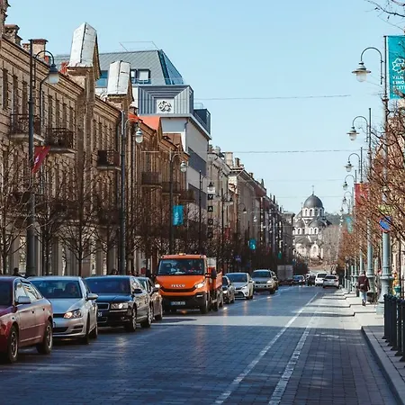 Central, Spacious And Quiet Butas Vilnius